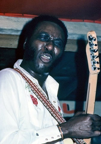 Eddy Clearwater - By Andre Hobus